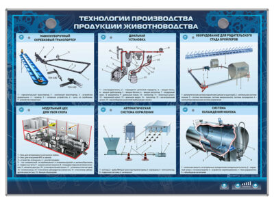 Электрифицированный стенд  "Технология производства продукции животноводства"