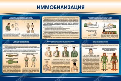 Стенд "Иммобилизация"