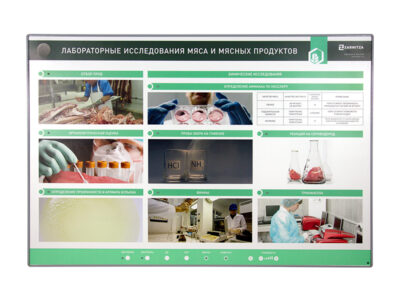Электрифицированный стенд "Лабораторные исследования мяса и мясных продуктов"