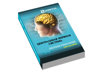 Электронное учебное пособие "Центральная нервная система"