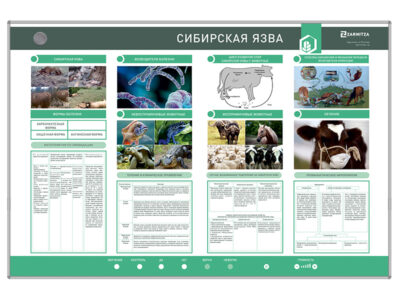 Электрифицированный стенд "Сибирская язва"