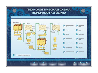 Электрифицированный стенд "Технологическая схема переработки зерна"