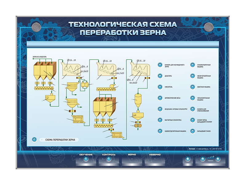 Как подготовить семена к прорастанию. Схема высадки рассады.