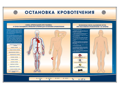 Электрифицированный стенд-тренажер "Остановка кровотечения"