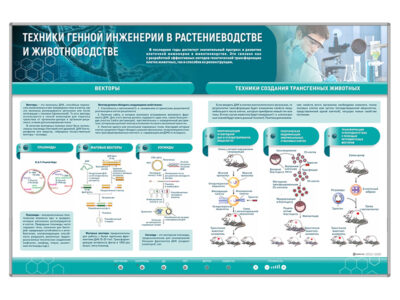Сборный электрифицированный стенд "Техники генной инженерии в растениеводстве и животноводстве"