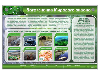 Интерактивный стенд "Загрязнение мирового океана"
