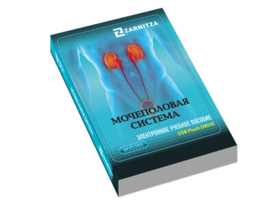 Электронное учебное пособие "Мочеполовая система"