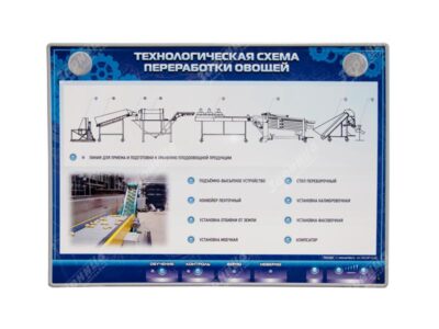 Электрифицированный стенд "Технологическая схема переработки овощей"