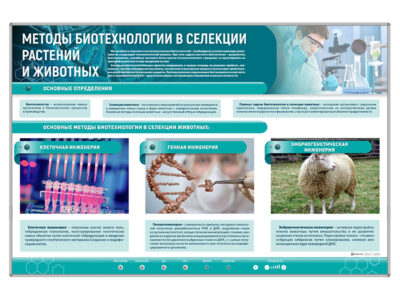 Сборный электрифицированный стенд "Методы биотехнологии в селекции растений и животных"