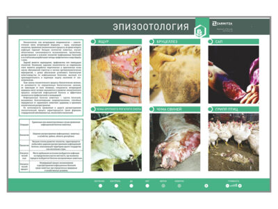 Электрифицированный стенд «Эпизоотология»