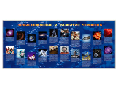 Стенд-лента "Происхождение и развитие человека"