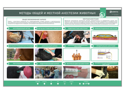 Электрифицированный стенд «Методы общей и местной анестезии»