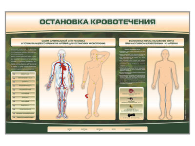 Электрифицированный стенд-тренажер "Остановка кровотечения"