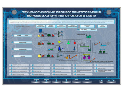 Электрифицированный стенд "Технологический процесс приготовления кормов для крупного рогатого скота"