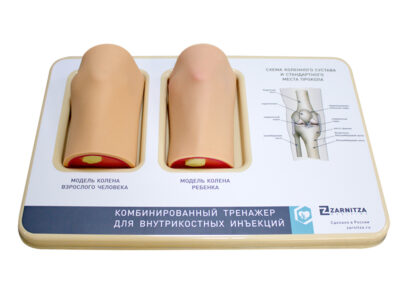 Комбинированный тренажер для внутрикостных инъекций
