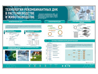 Сборный электрифицированный стенд "Технологии рекомбинантных ДНК в растениеводстве и животноводстве"