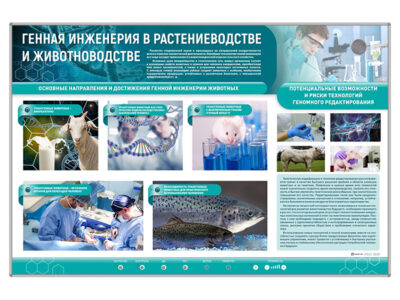 Сборный электрифицированный стенд "Генная инженерия в растениеводстве и животноводстве"