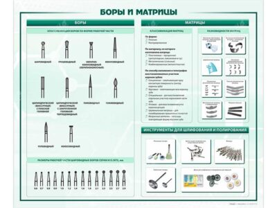 Стенд "Боры и матрицы"