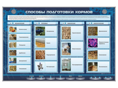 Электрифицированный стенд "Способы подготовки кормов"