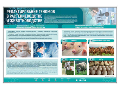 Сборный электрифицированный стенд "Редактирование геномов в растениеводстве и животноводстве"
